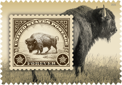 6099 2026 bisonte americano - americano,